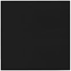 Livin'flame Infraroodpaneel 200 60x60 Cm Zwart